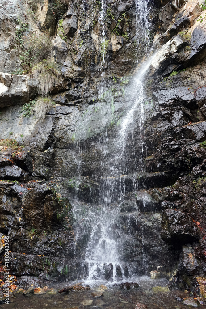 Kaledonia waterfall in the forest - obrazy, fototapety, plakaty 