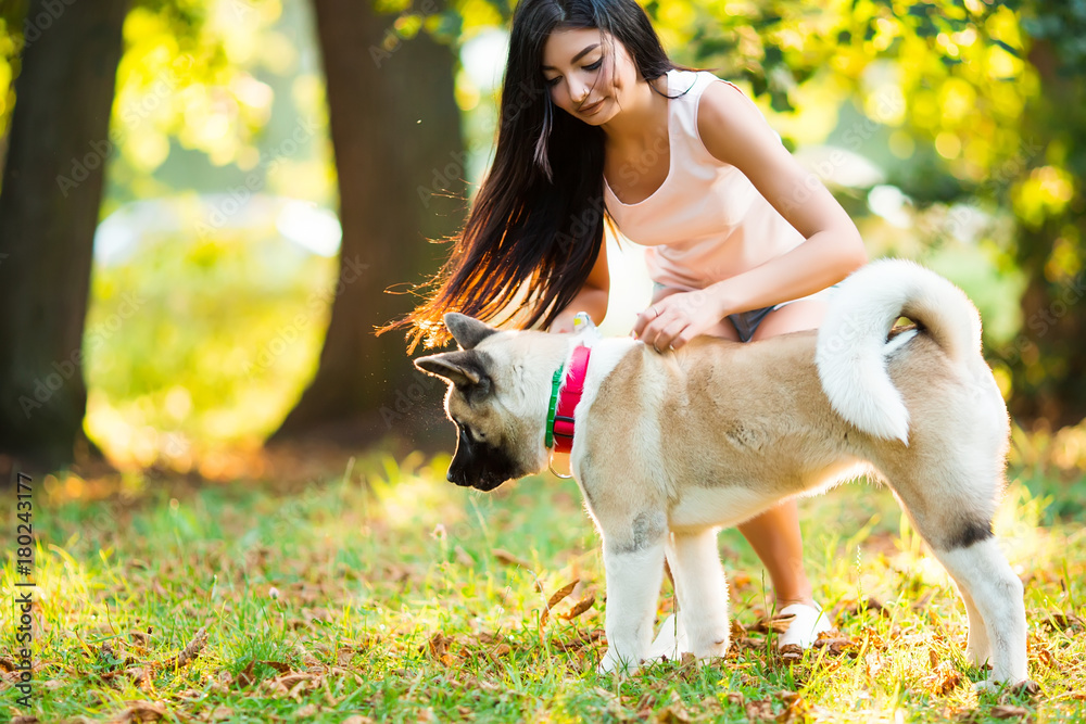 Beautiful woman playing with a dog walking in the park. Beautiful woman playing with a dog walking in the park.