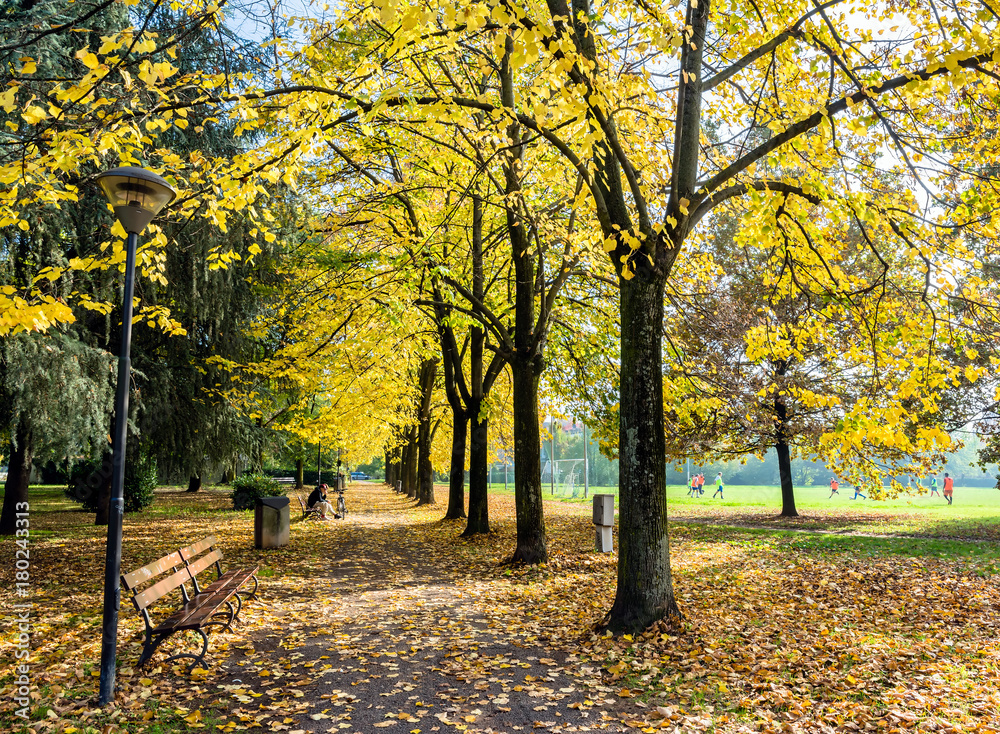 fall foliage in public park in Cavriago, Italy