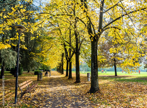 fall foliage in public park in Cavriago, Italy