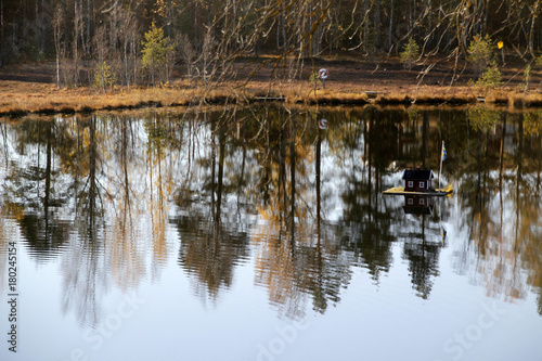 Bosque photo