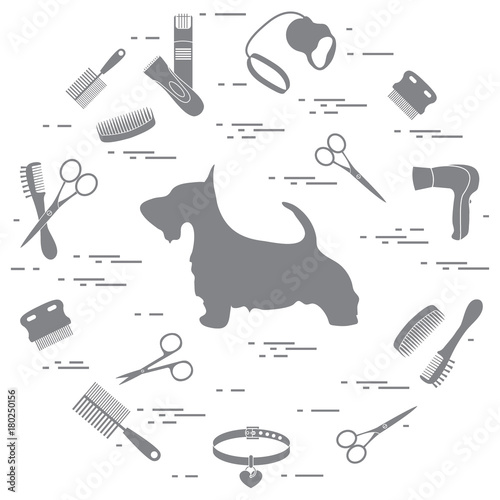 Scotch terrier silhouette, combs, collar, leash, razor, hair dryer, scissors arranged in a circle.