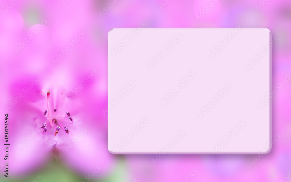 Floral template mock up, light box and blurred background. Spring, summer background with pink azalea. Border for greeting cards, postcards, scrapbooking, photo albums, web pages, presentations