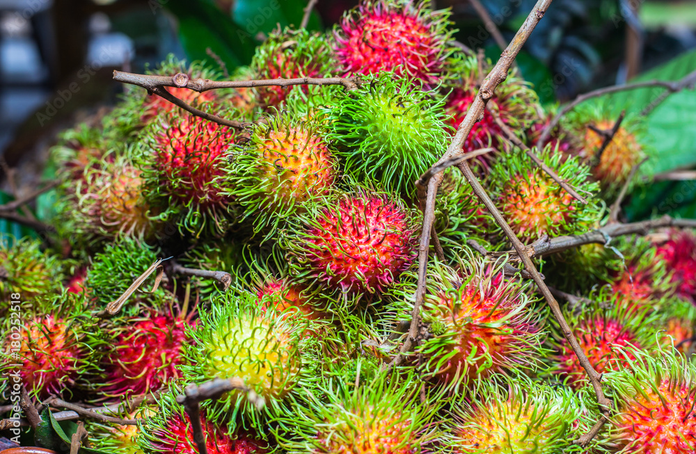 Thai fruits in the garden to bring tourists to eat. Thai fruits in the garden to bring tourists to eat.