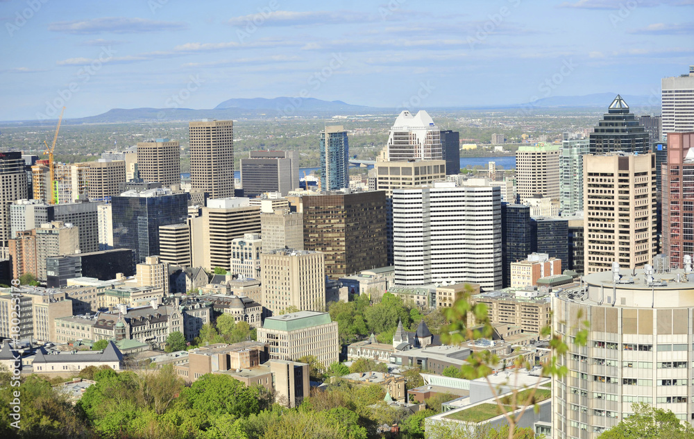 Fototapeta premium Montreal skyline from a distance