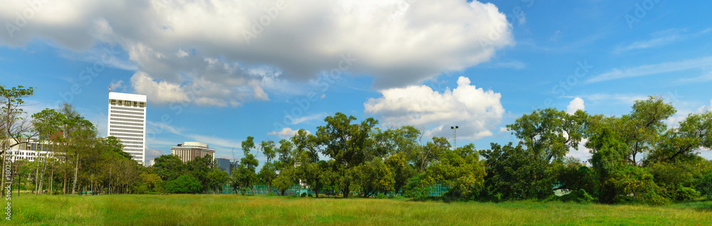 Green park panorama under blue sky