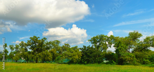 Green park panorama under blue sky © Naypong Studio