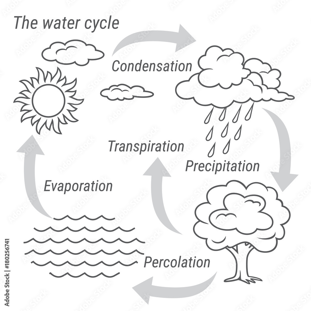 Define water cycle and draw a neat diagram and tabulate the parts.-saigonsouth.com.vn