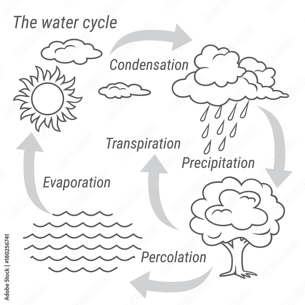 Diagram Water Cycle: Over 78 Royalty-Free Licensable Stock Photos |  Shutterstock