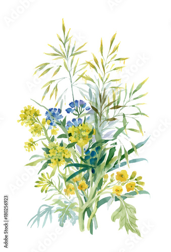 Watercolor wildflowers and leaves on white background.