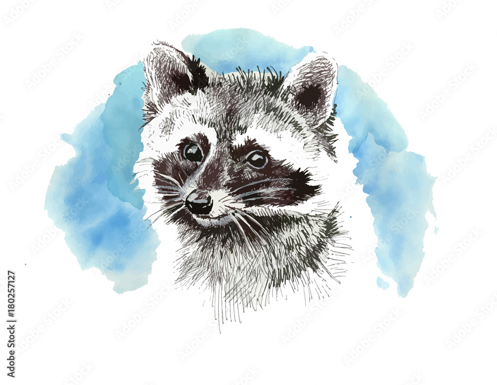 Medic raccoon 1 – Decaffedepresso