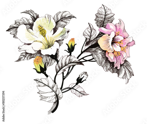 Hand drawn painting with colorful flowers on white background.