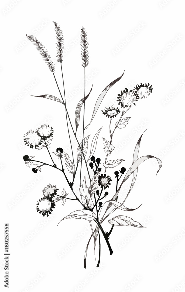 Hand drawn painting with black and white flowers on white background.
