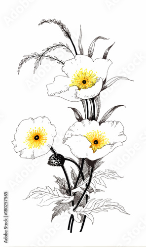 Hand drawn painting with colorful flowers on white background.