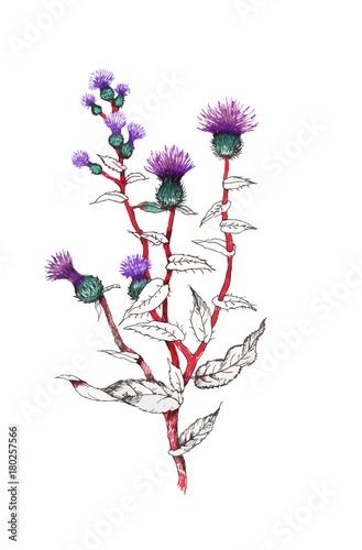 Hand drawn painting with colorful flowers on white background.