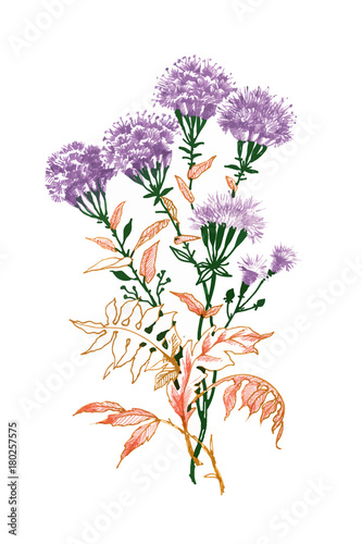 Hand drawn painting with colorful flowers on white background.