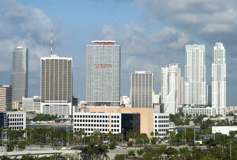 Fototapeta premium Miami Downtown Skyline