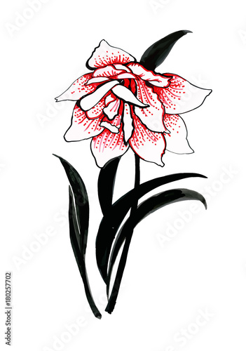 Hand drawn painting with colorful flower on white background.