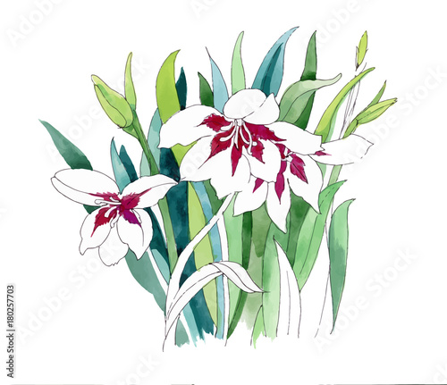 Hand drawn painting with colorful flowers on white background.