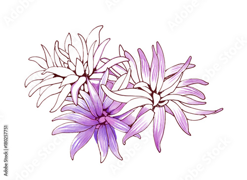 Hand drawn painting with colorful flowers on white background.