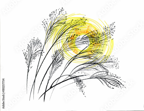 Hand drawn painting with field plants on white background.