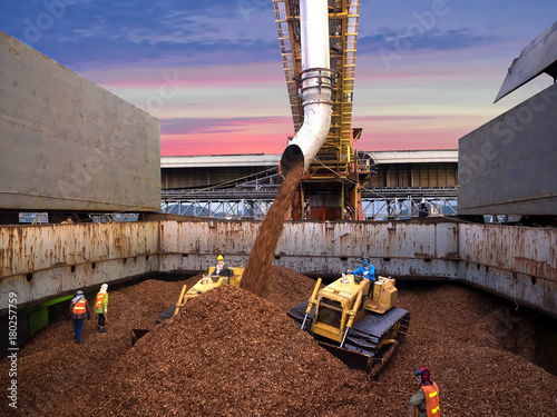 Canvas Print The  bulldozers are pushing the wood chips in hold of bulk vessel, The port operation loading wood chip in hold of vessel and triming cargo by bulldozer