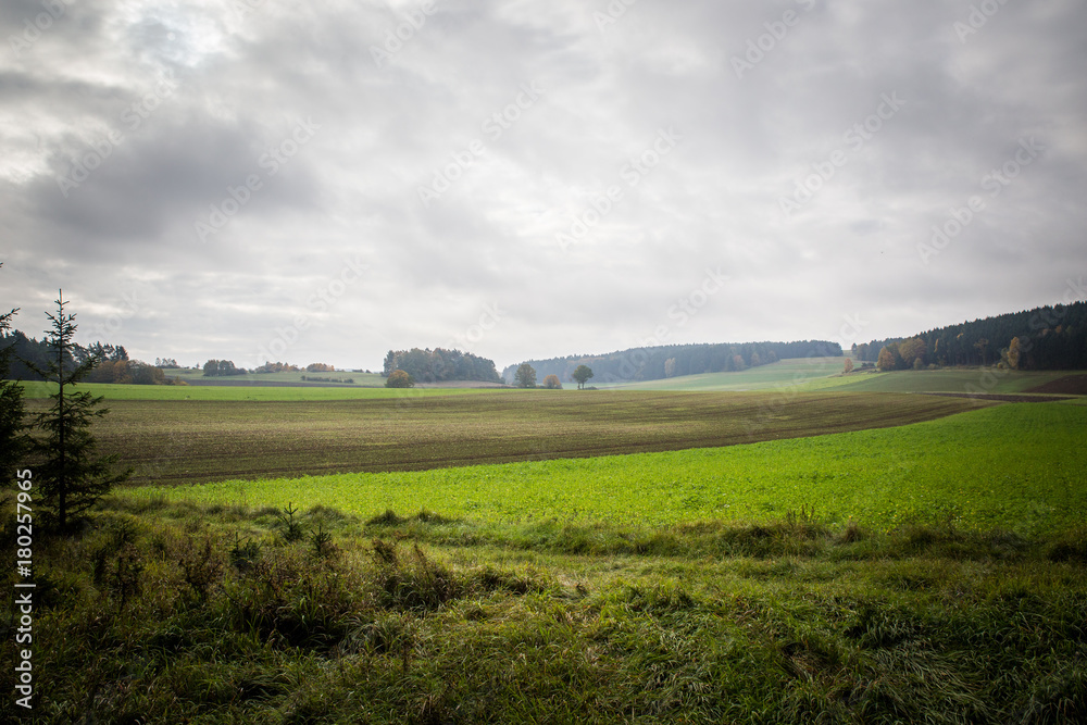 Obraz premium meeder landscape