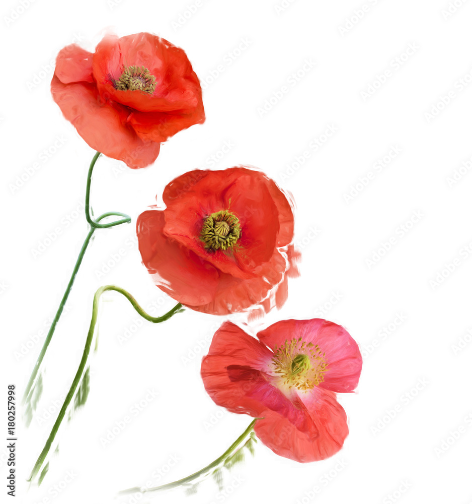 Poppy Flowers digital painting