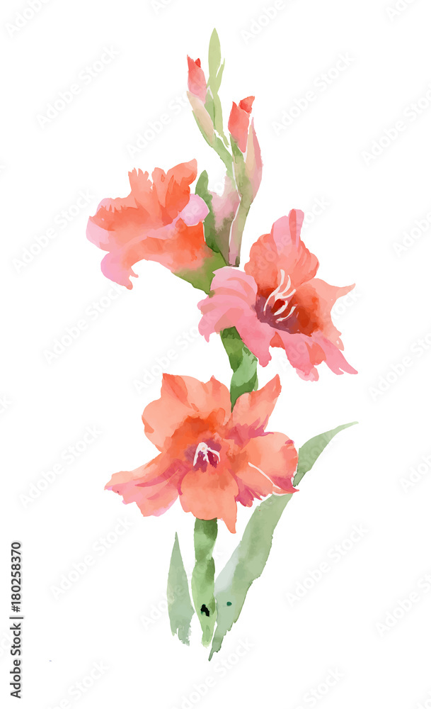 Naklejka premium Watercolor Summer blooming flowers illustration.