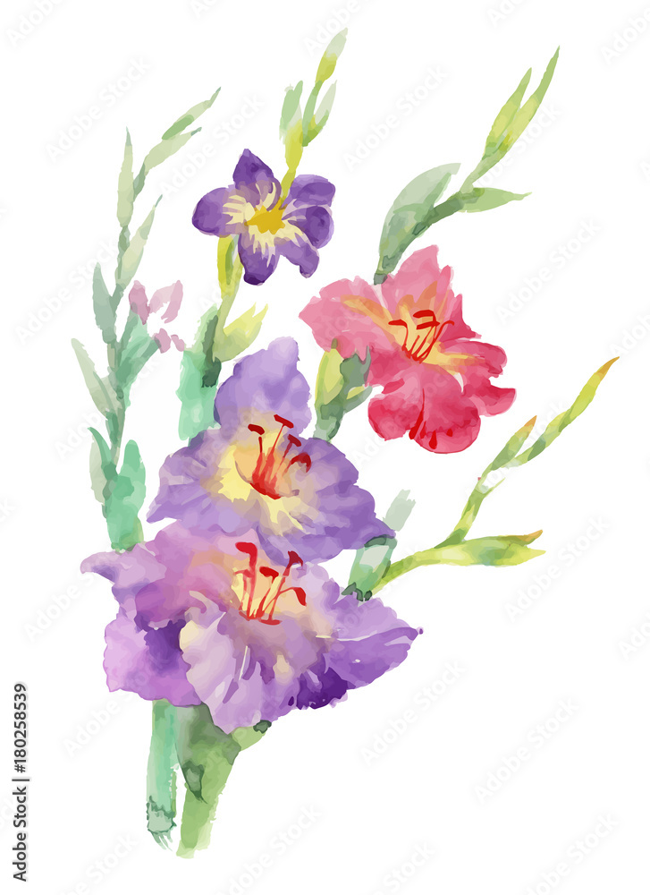 Flowers watercolor illustration. Spring and Summer.