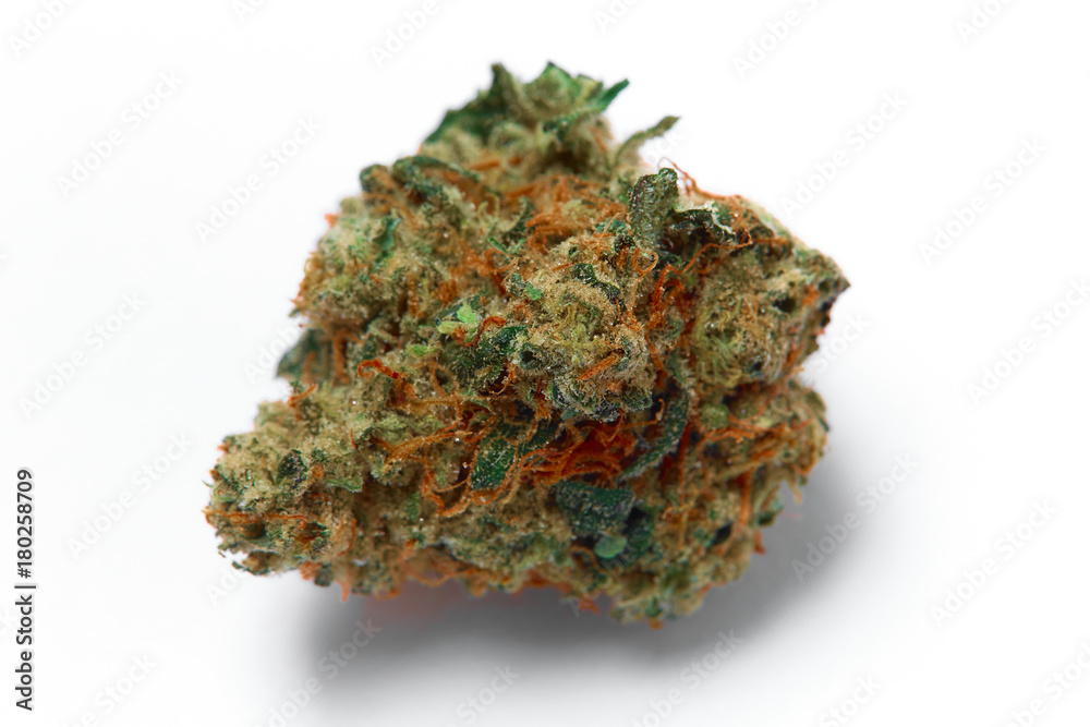 Close up of prescription medical marijuana Strawberry Cough flower sativa strain on white background Close up of prescription medical marijuana Strawberry Cough flower sativa strain on white background
