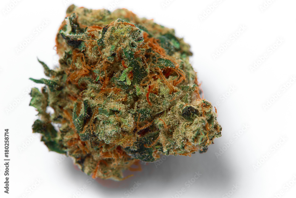 Close up of prescription medical marijuana Strawberry Cough flower sativa strain on white background Close up of prescription medical marijuana Strawberry Cough flower sativa strain on white background