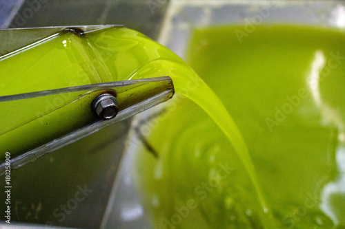 Greece, Peloponnese, Messinia, Kalamata, extra virgin olive oil extraction process in olive oil mill. photo