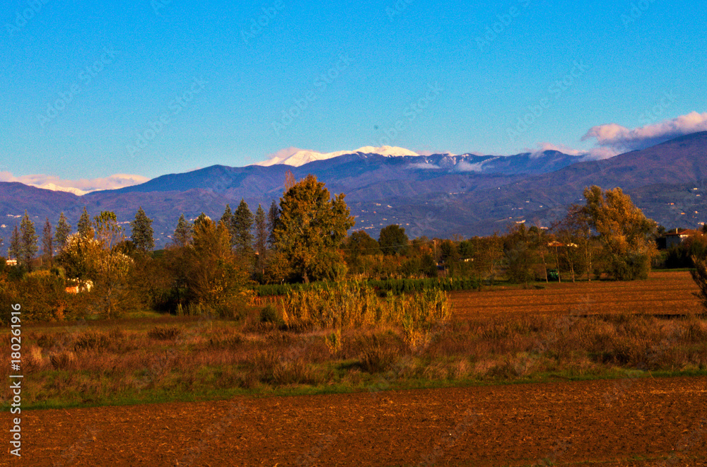 Fototapeta premium Tuscan snow