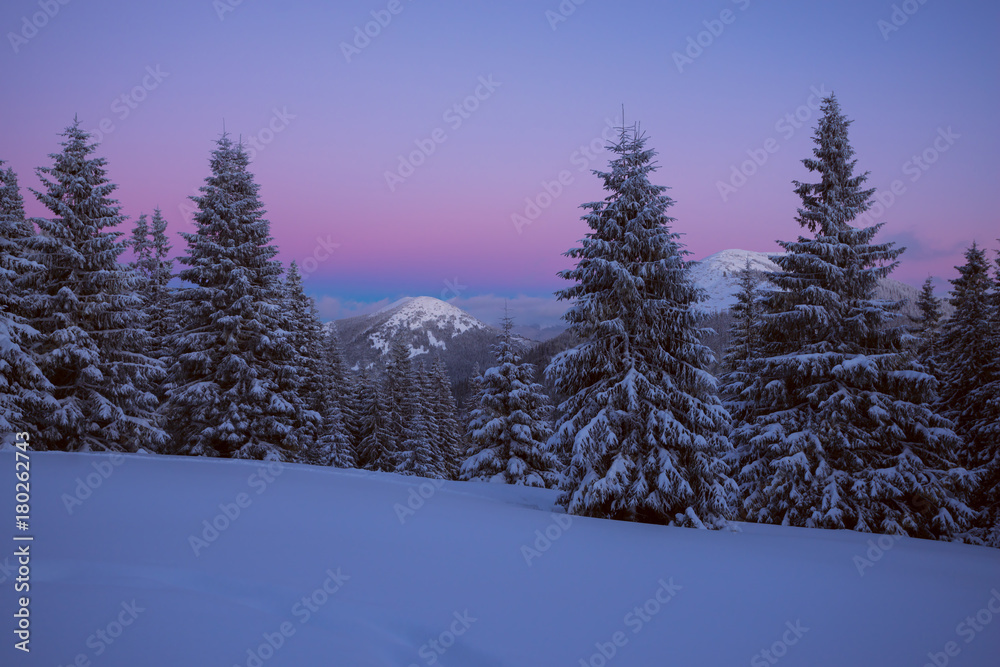 Purple night in the winter mountains