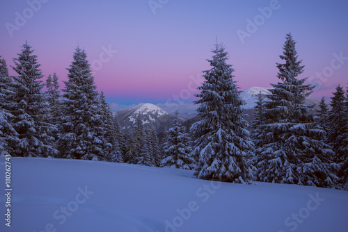 Purple night in the winter mountains