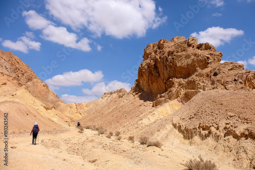 Scenic panorama landscape of Crater Ramon in Negev desert.