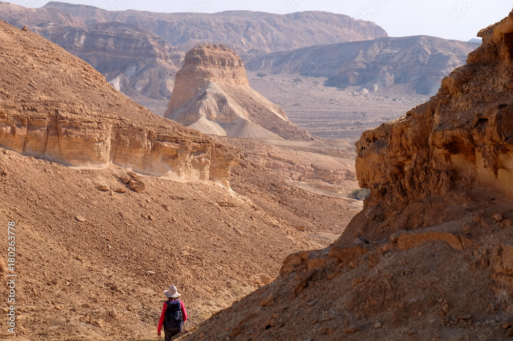 Fototapeta premium Scenic panorama landscape of Crater Ramon in Negev desert.