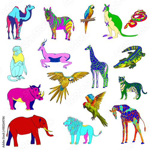 Vector color illustration. Set of animals  parrot  giraffe  monkey  gazelle  elephant  rhinoceros  kangaroo  camel  lion  zebra  crocodile  snake  tiger.