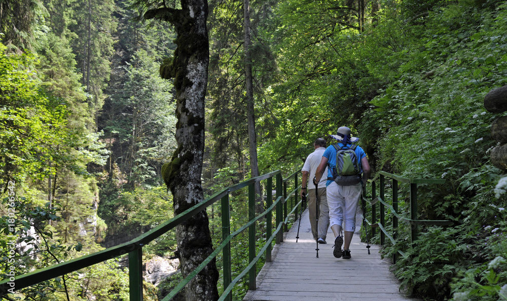 Obraz premium weg durch die breitachklamm im kleinwalsertal