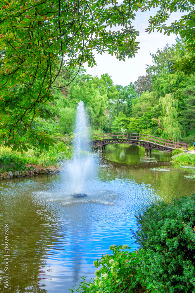 View of beautiful garden with fountain, wooden walking bridge, green trees, bushes and blue sky, reflecting in a pond water. Summer natural landscape