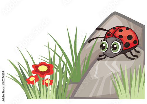 Ladybug corner design illustration