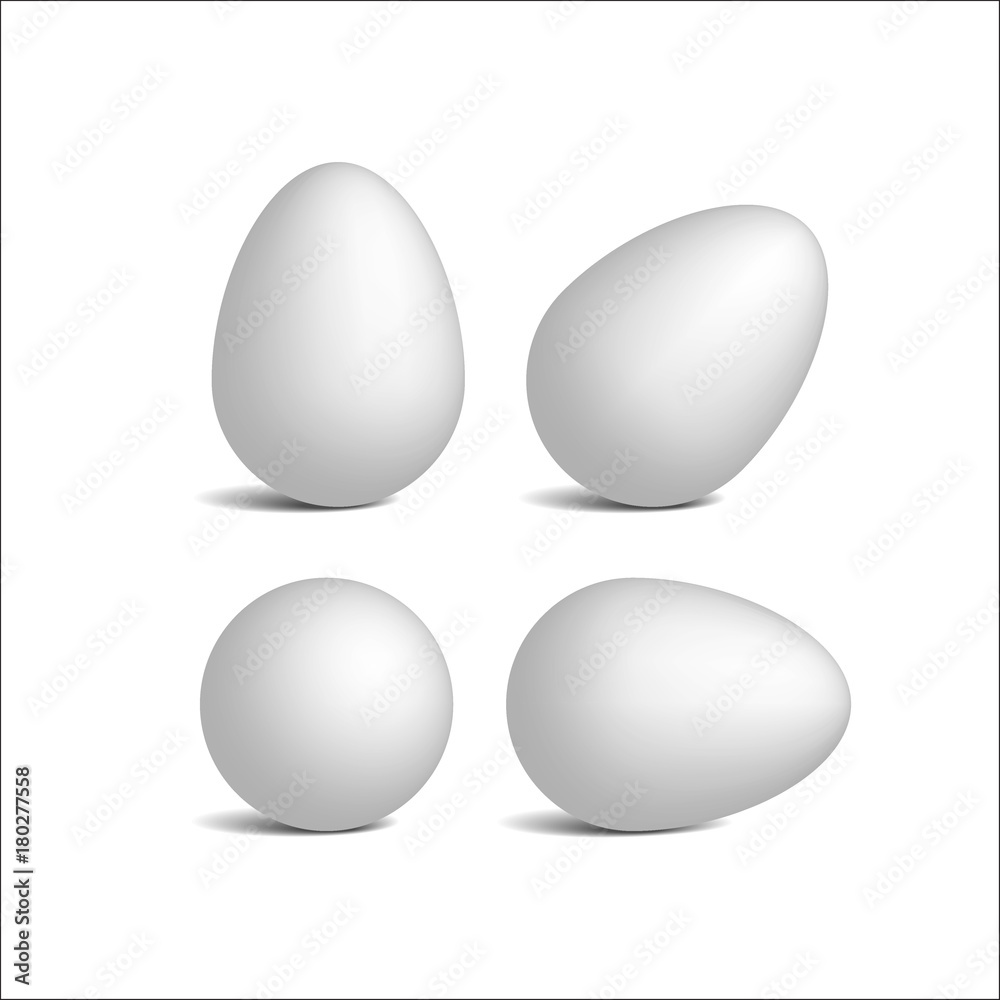 Set vector realistic white eggs. Isolated eggs on white background. Dietary meal. Easter symbol. Vector illustration.