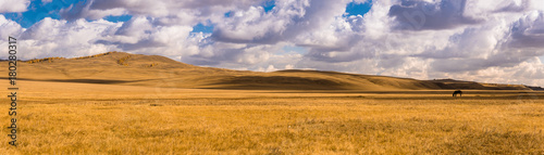 Wide panorama of beautiful autumn field. Majestic open space under dramatic clouds. Kazakh steppe..Horse on a pasture as small detail.