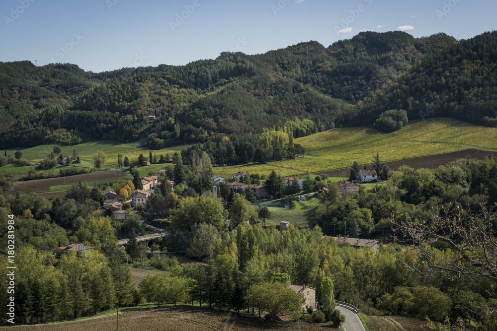 Romagna vineyard