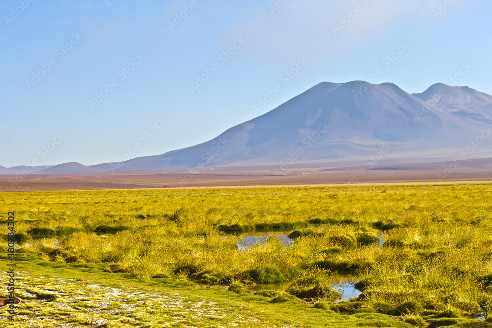 【チリ】アタカマ高地の風景