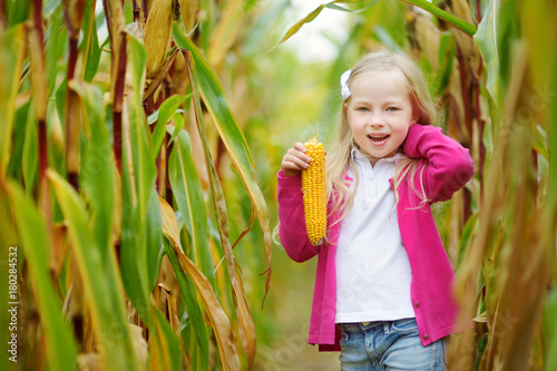 Adorable girl playing in a corn field on beautiful autumn day. Pretty child holding a cob of corn. Harvesting with kids
