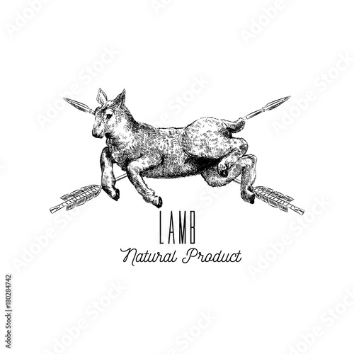 Farm animal. Natural product. Lamb farm for the logo, banner, packing. The vector in the ethnic style. Hand draw