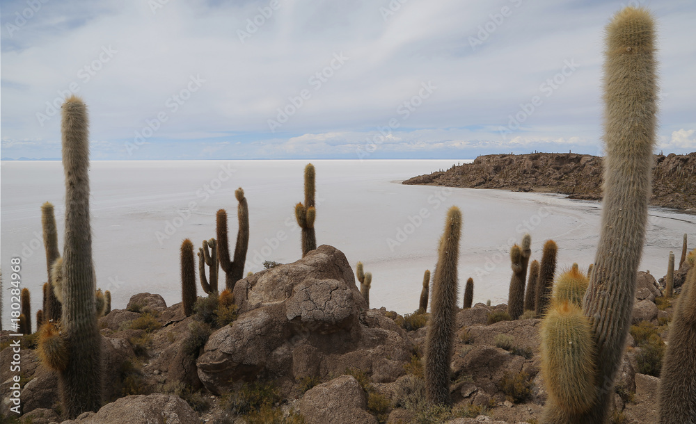 Isla de Incahuasi o del pescado en el Salar de Uyuni, Bolivia Isla de Incahuasi o del pescado en el Salar de Uyuni, Bolivia