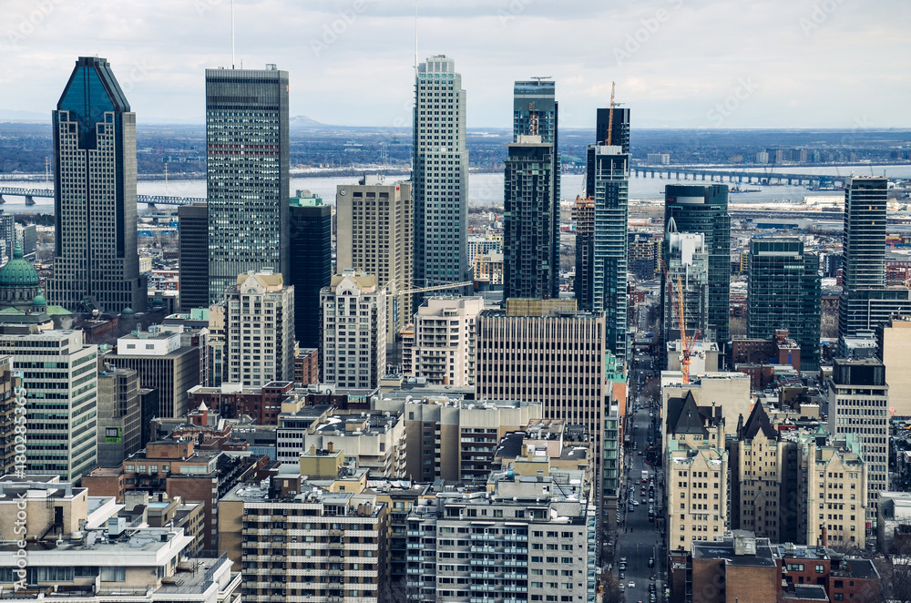 Fototapeta Close view on Montreal downtown and skyscrapers from Mont Royal